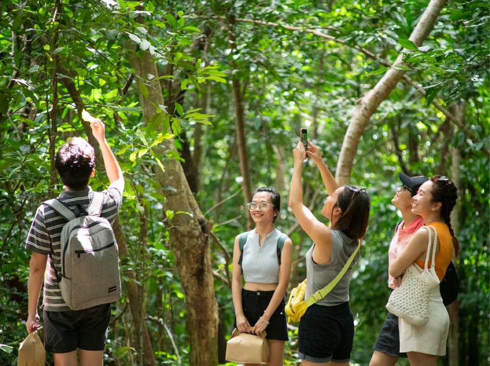 Hoạt động trekking vịnh Đầm Tre